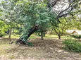 Carousel Indicator - VYbK.webp