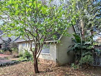 1 Bedroom Apartment To Rent in Sandton - rSVe.webp