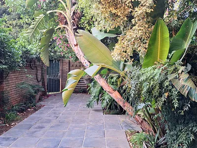 3 Bedroom Apartment For Sale in Randburg - U1GJ.webp