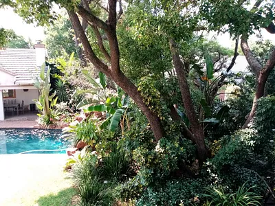 Apartment To Rent in Randburg - jyeS.webp