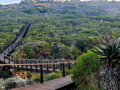 Vacant Land For Sale in Mossel Bay - f1XB.webp