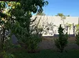 Carousel Indicator - wA8o.webp