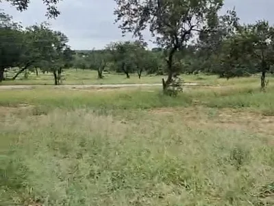 Vacant Land For Sale in Phalaborwa - 9X1w.webp