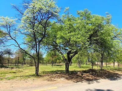 Vacant Land For Sale in Phalaborwa - cJyU.webp