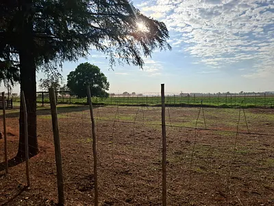 Farm For Sale in Krugersdorp - YseR.webp