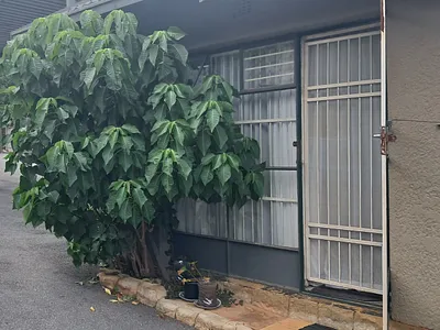 1 Bedroom Apartment To Rent in Krugersdorp - ylCV.webp