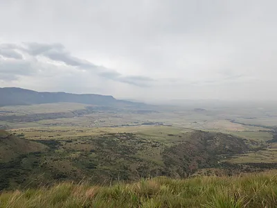 Farm For Sale in Utrecht - 54w8.webp