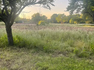 Vacant Land To Rent in Midrand - baOB.webp