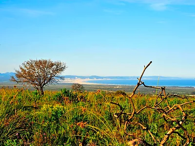 Vacant Land For Sale in Jeffreys Bay - img