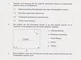 Carousel Indicator - WVTm.webp