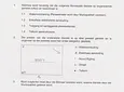 Carousel Indicator - 07Gf.webp