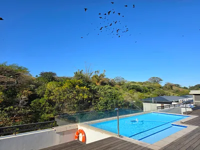 1 Bedroom Apartment For Sale in Ballito - VlGD.webp
