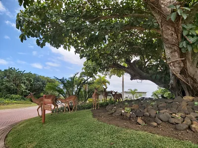 4 Bedroom House To Rent in Ballito - 4nb8.webp