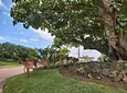 Carousel Indicator - WWMp.webp