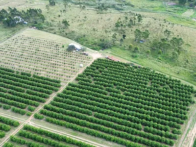 Farm For Sale in White River - img