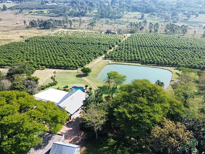 Farm For Sale in White River - img