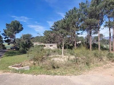 Vacant Land For Sale in Bot River - img