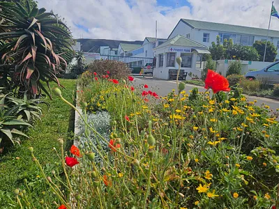 1 Bedroom Apartment To Rent in Hermanus - a7Hg.webp