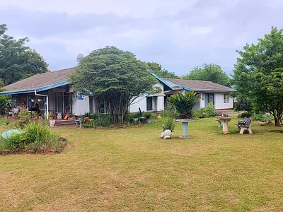 4 Bedroom House For Sale in Pietermaritzburg - img