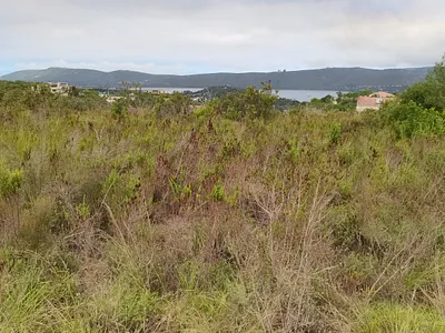 Vacant Land For Sale in Knysna - zwtF.webp
