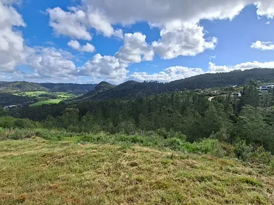 Vacant Land For Sale in Knysna - yazr.webp