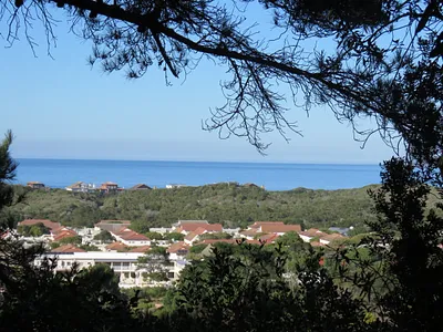 Vacant Land For Sale in Plettenberg Bay - img