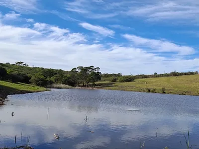 Farm For Sale in East London - 1hv9.webp