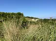 Carousel Indicator - nhBV.webp