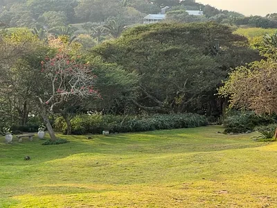 Vacant Land For Sale in Blythedale - 5neG.webp