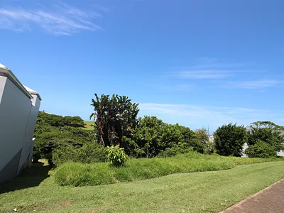 Vacant Land For Sale in Blythedale - ZYYS.webp