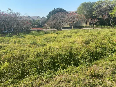 Vacant Land For Sale in Zinkwazi Beach - mAoJ.webp