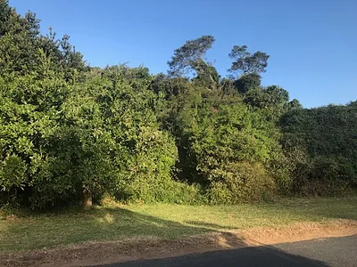 Vacant Land For Sale in Zinkwazi Beach - nINZ.webp