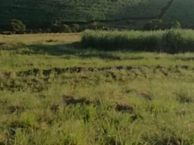 Vacant Land For Sale in Mandeni - g01I.webp
