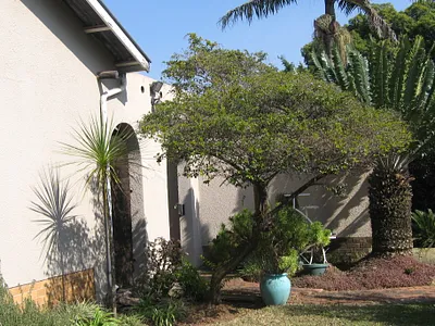 3 Bedroom House For Sale in Pretoria - gvbK.webp