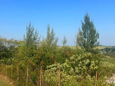 Vacant Land For Sale in Darnall - img