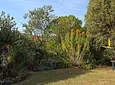Carousel Indicator - qwNO.webp