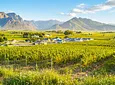 Carousel Indicator - m3lX.webp