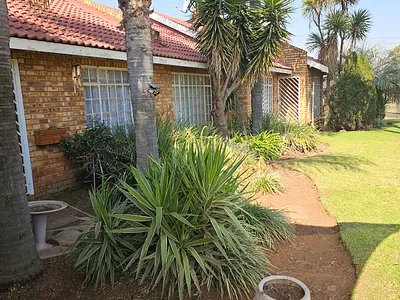 5 Bedroom House For Sale in Springs - img