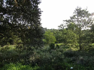 Vacant Land For Sale in Humansdorp - e4jH.webp