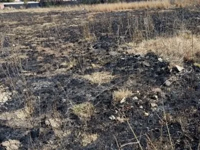Vacant Land For Sale in Nigel - hpcN.webp