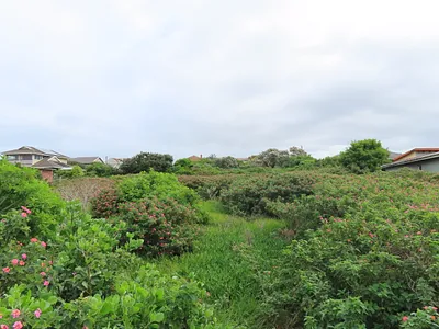 Vacant Land For Sale in Port Alfred - img