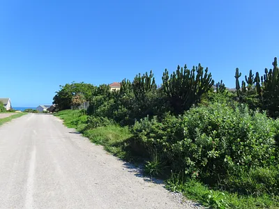 Vacant Land For Sale in Port Alfred - zfcf.webp