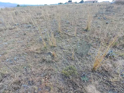 Vacant Land For Sale in Nigel - XauP.webp