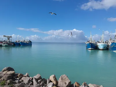 Vacant Land For Sale in St Helena Bay - img