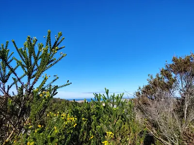 Vacant Land For Sale in Plettenberg Bay - img