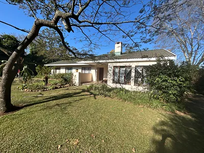 3 Bedroom House To Rent in Hilton - mk8N.webp