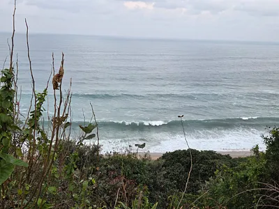5 Bedroom House For Sale in Durban - img