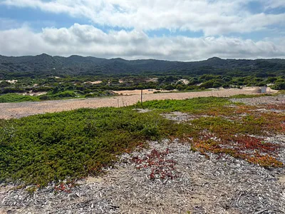 Vacant Land For Sale in Stilbaai East, Stilbaai - u1v2.webp