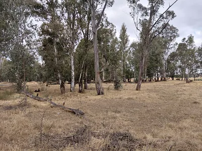 Vacant Land For Sale in Newcastle - 4WsJ.webp