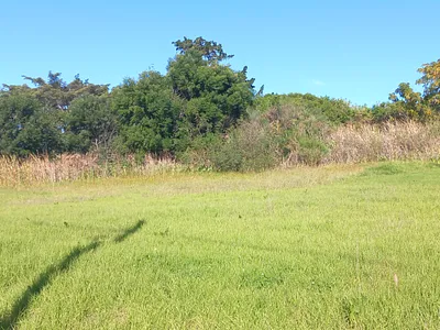 Vacant Land For Sale in Albertinia - Qgq7.webp